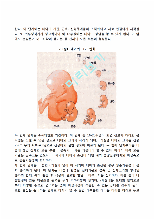 [태내기 발달특성] 태내발달단계, 태아의 감각발달, 태내발달과 유전적-환경적 영향, 태내발달의 결정적 시기.hwp